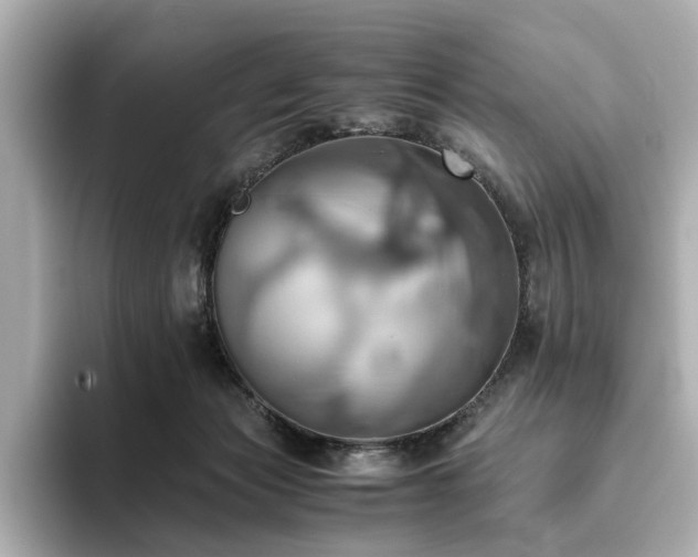 X0000093610173200710151246