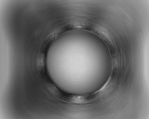 X0000093610174200710151246