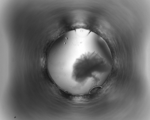 X0000093610177200710151246