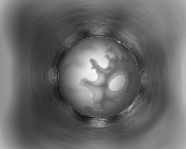 X0000093610179200710151246