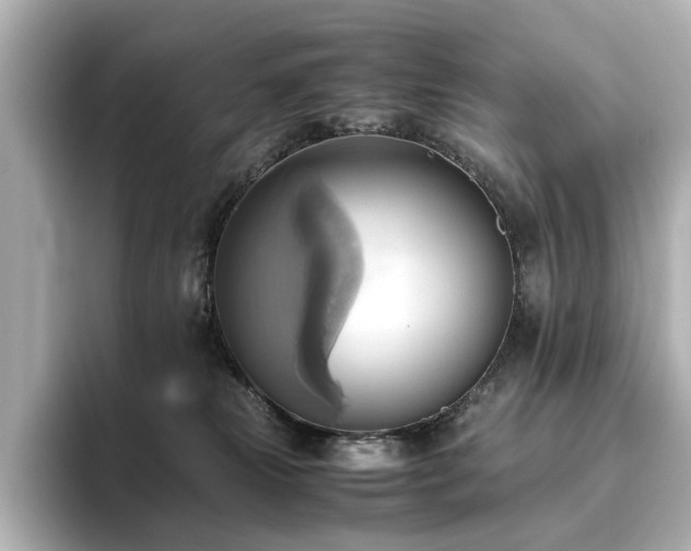 X0000093610181200710151246