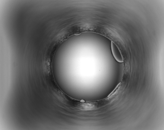 X0000093610183200710151246