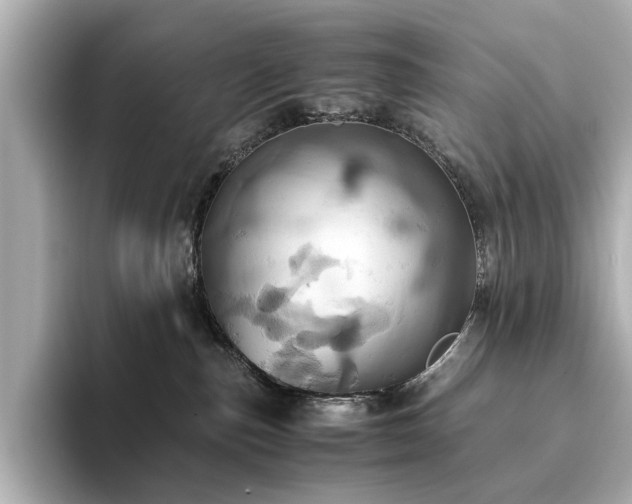 X0000093610187200710151246