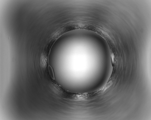X0000093610188200710151246