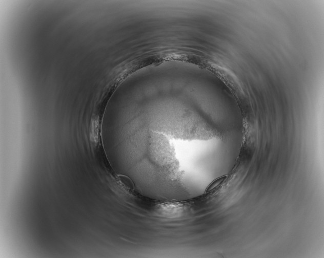 X0000093610189200710151246