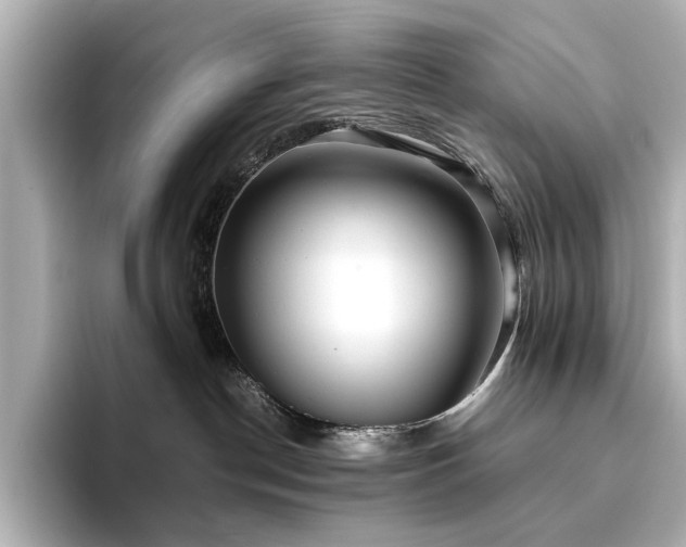 X0000093610190200710151246