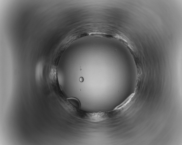 X0000093610191200710151246