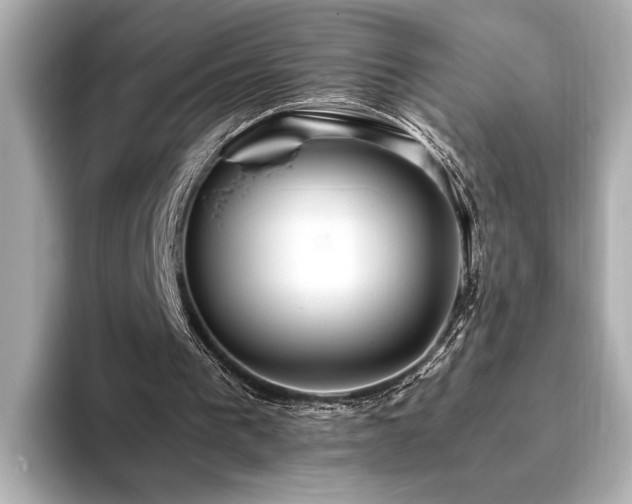 X0000093610193200710151245