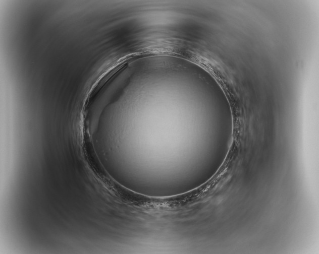 X0000093610194200710151245