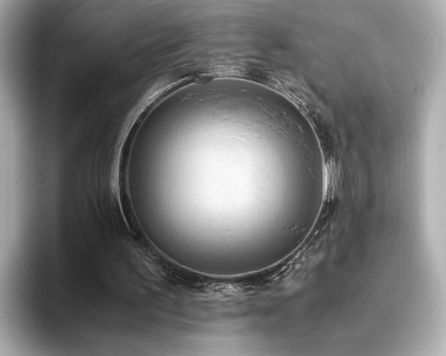 X0000093610195200710151245