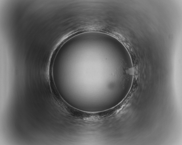 X0000093610196200710151245