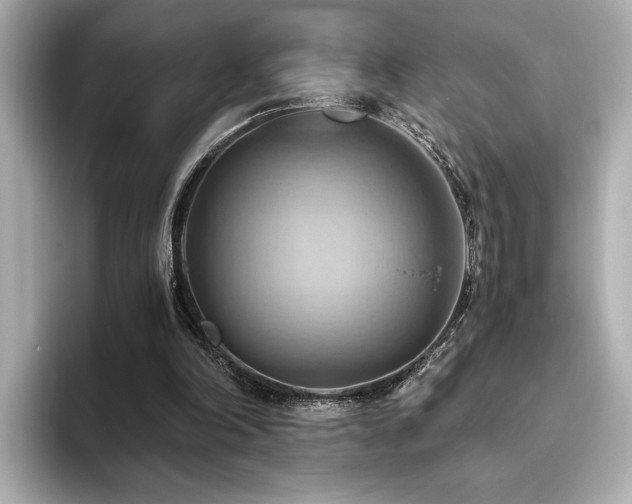 X0000093610198200710151245