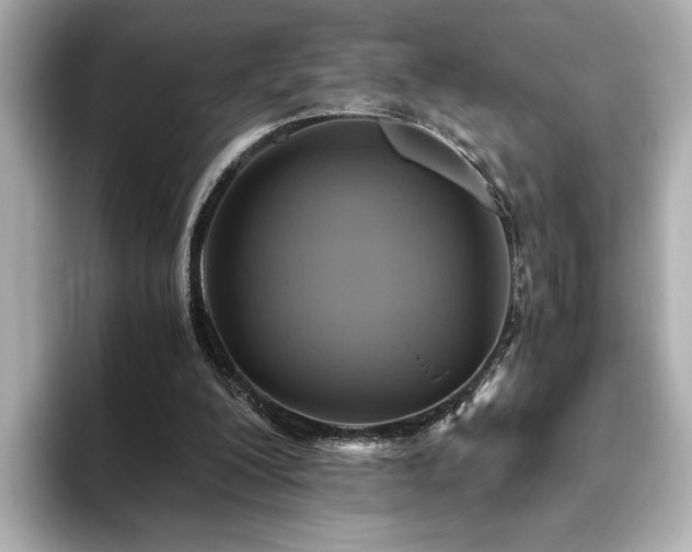 X0000093610200200710151245