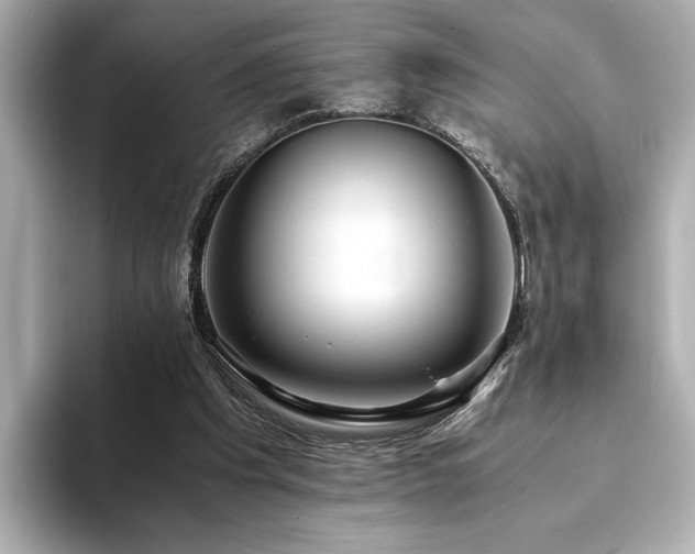 X0000093610201200710151245