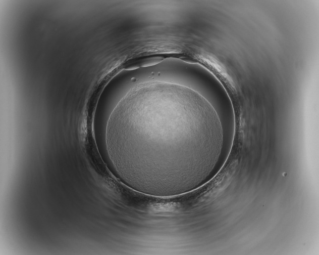 X0000093610202200710151245