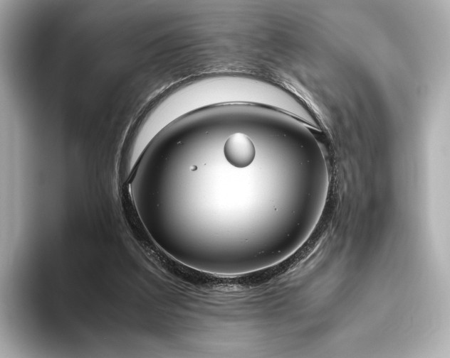 X0000093610203200710151245
