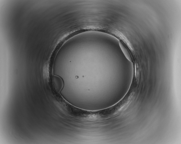 X0000093610204200710151245