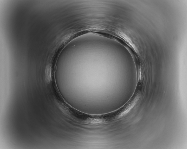 X0000093610205200710151245