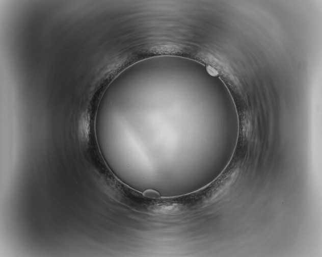 X0000093610206200710151245