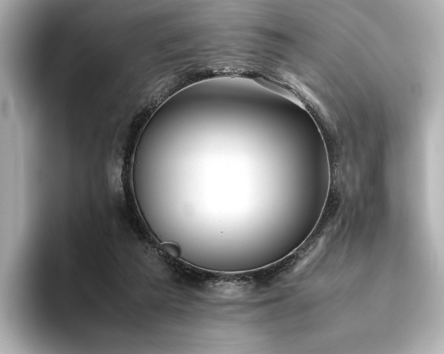 X0000093610209200710151245