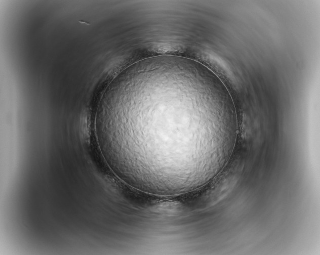 X0000093610210200710151245