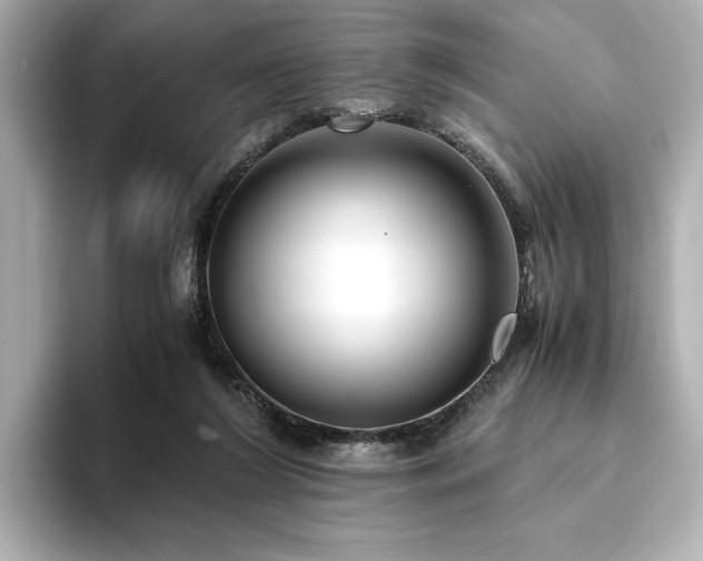 X0000093610212200710151245