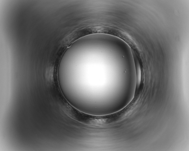 X0000093610217200710151245