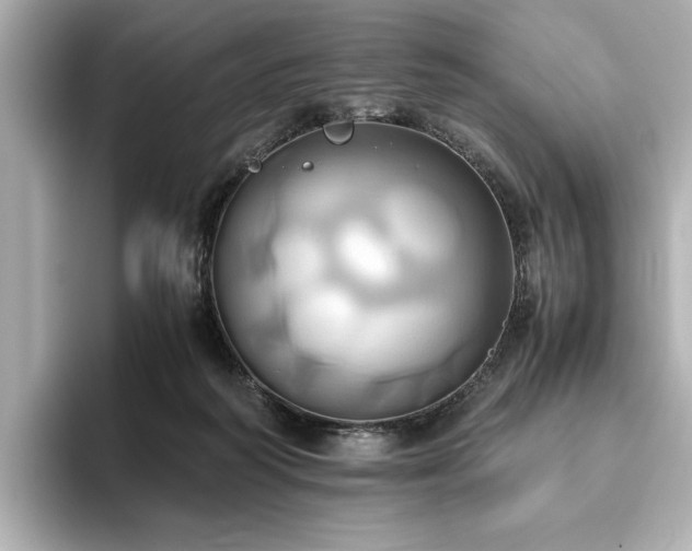 X0000093610218200710151245