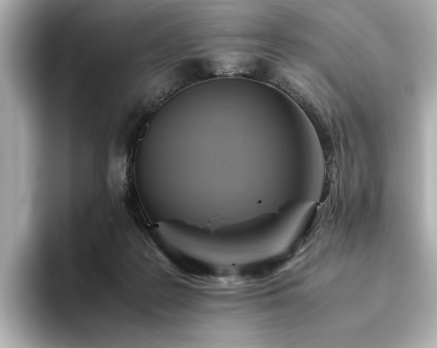 X0000093610219200710151245