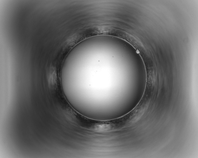 X0000093610220200710151245