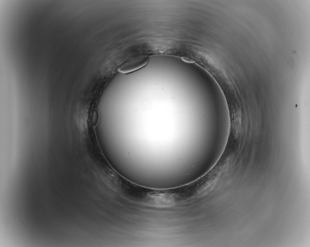 X0000093610221200710151245