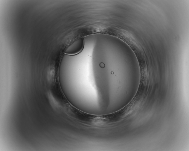 X0000093610222200710151245