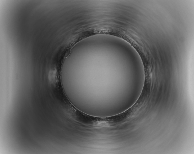 X0000093610224200710151245