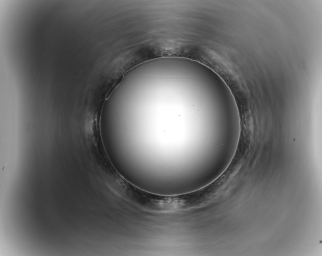 X0000093610225200710151245