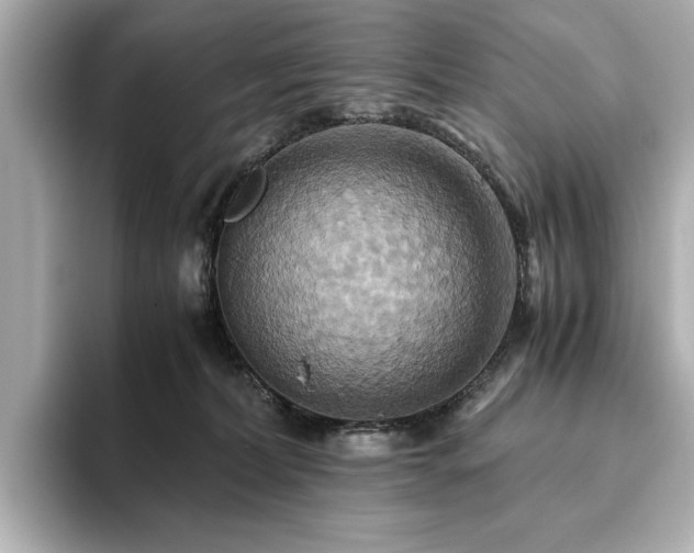 X0000093610228200710151245