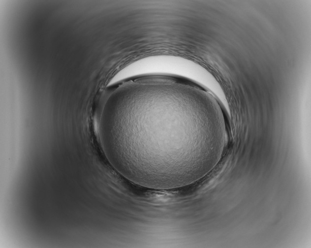 X0000093610229200710151245