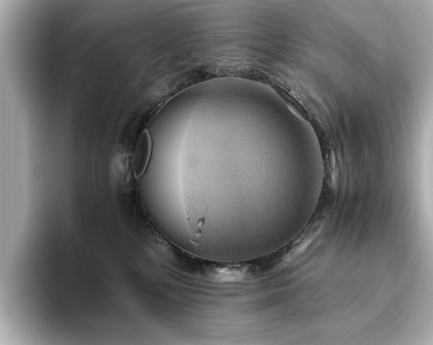 X0000093610232200710151245