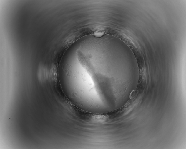 X0000093610234200710151245