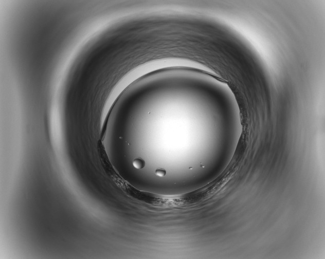 X0000093610239200710151245