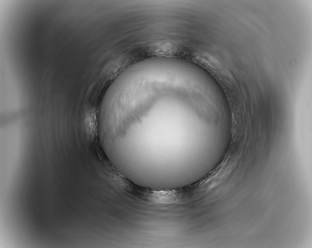 X0000093610240200710151245