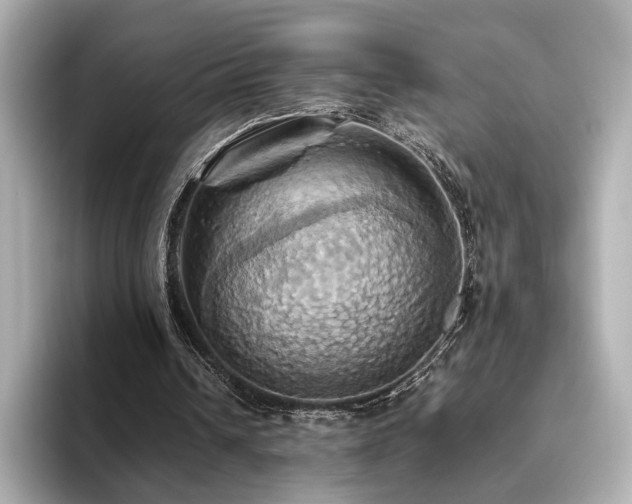 X0000093610242200710151244