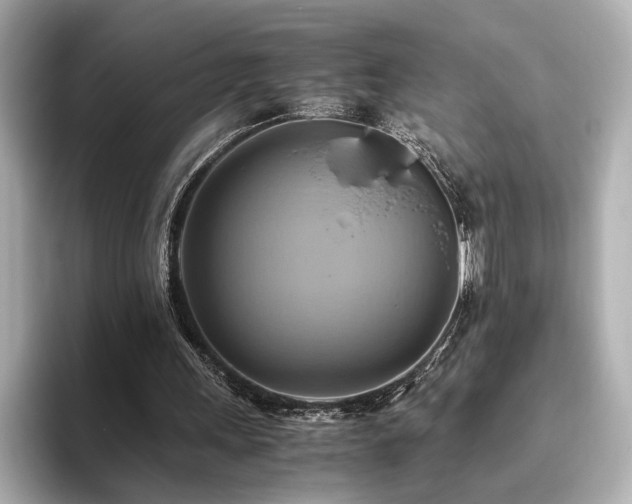 X0000093610243200710151244