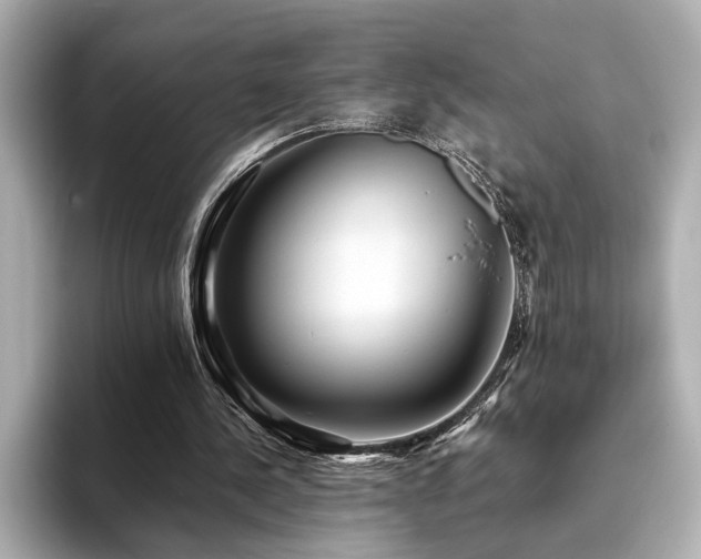 X0000093610244200710151244
