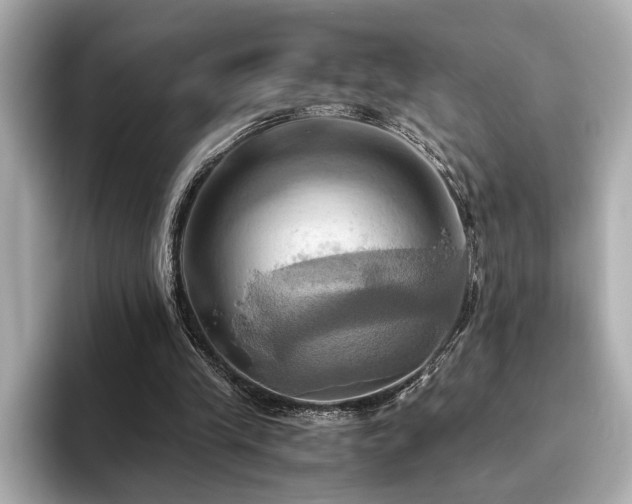 X0000093610245200710151244