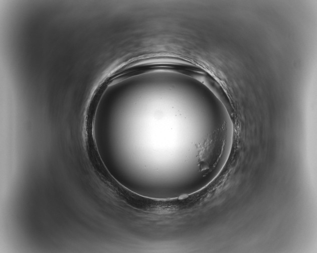 X0000093610248200710151244