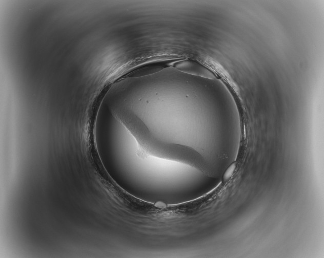 X0000093610249200710151244