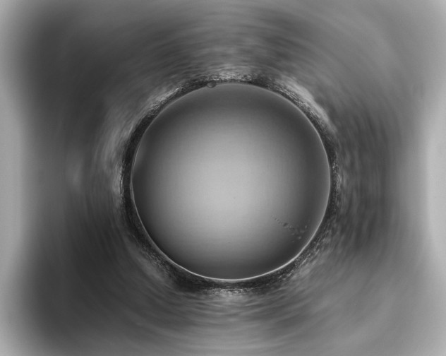 X0000093610250200710151244