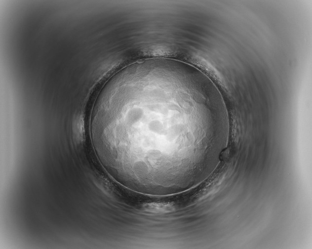X0000093610251200710151244