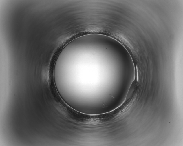 X0000093610252200710151244