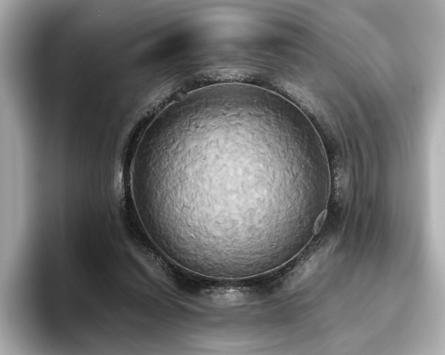 X0000093610254200710151244